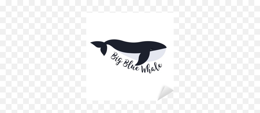 Sticker Vector Illustration Of Whale Symbol Design - Pixersus Dolphin Png,Whale Icon