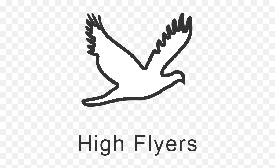 Year 5 High Flyers U2013 St Michaelu0027s Catholic Primary School - Flying Dove Silhouette Png,Icon For Michaels