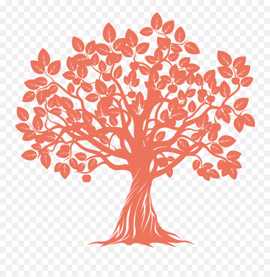 Kent Apple Tree Thinkforward - Tracy Family Foundation Logo Png,Apple Transparent Background