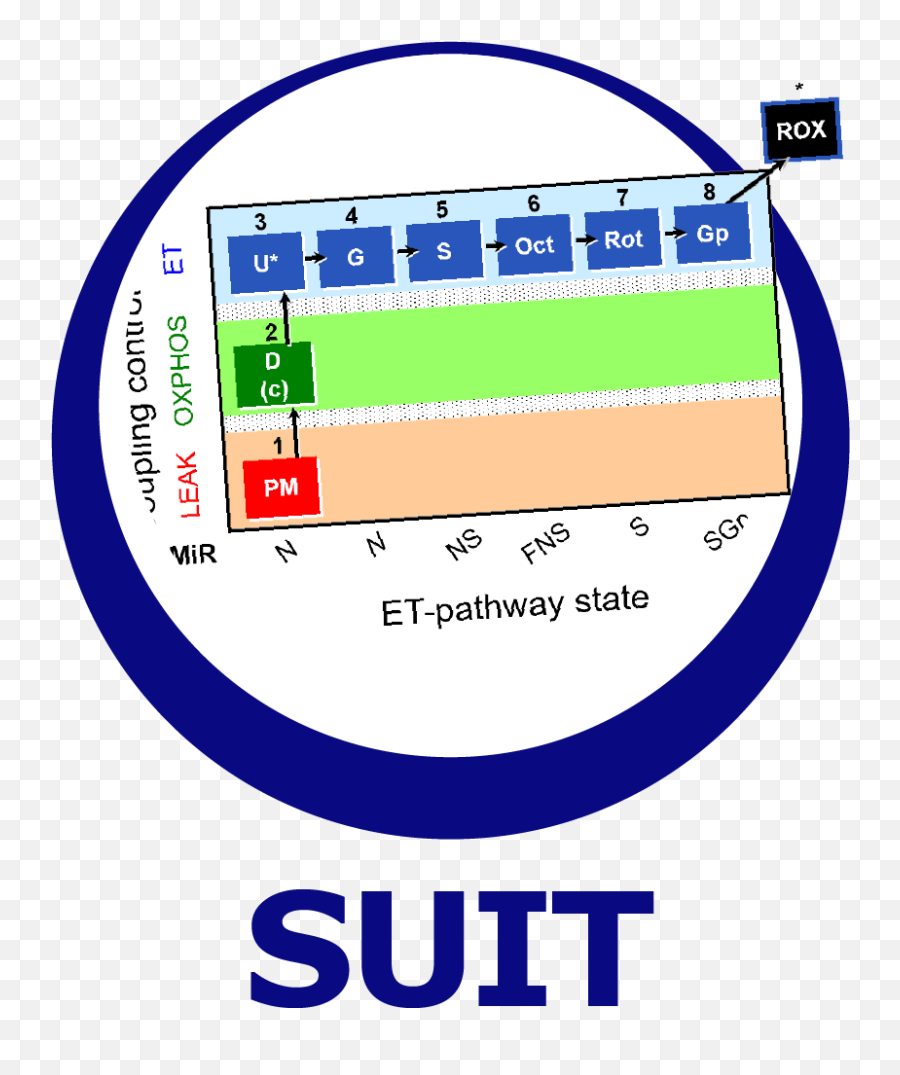 Suitbrowser - Oroboros Instruments Substrate Uncoupler Inhibitor Titration Suit Png,Gp Icon