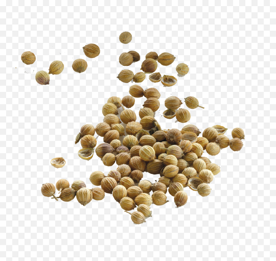 Seed Transparent Of A - Coriander Seed Transparent Background Png,Seed Png