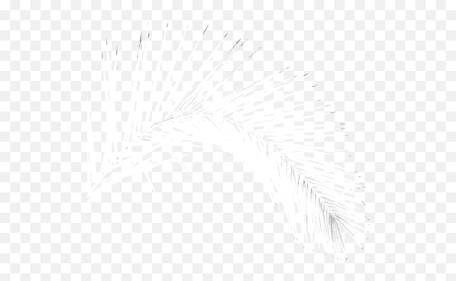Palm Leaf Books Home - White Palm Leaves Png,Palm Leaves Transparent