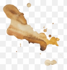 Americano - Free U0026 Premium Stock Photos Canva Illustration Png,Coffee Stain Png