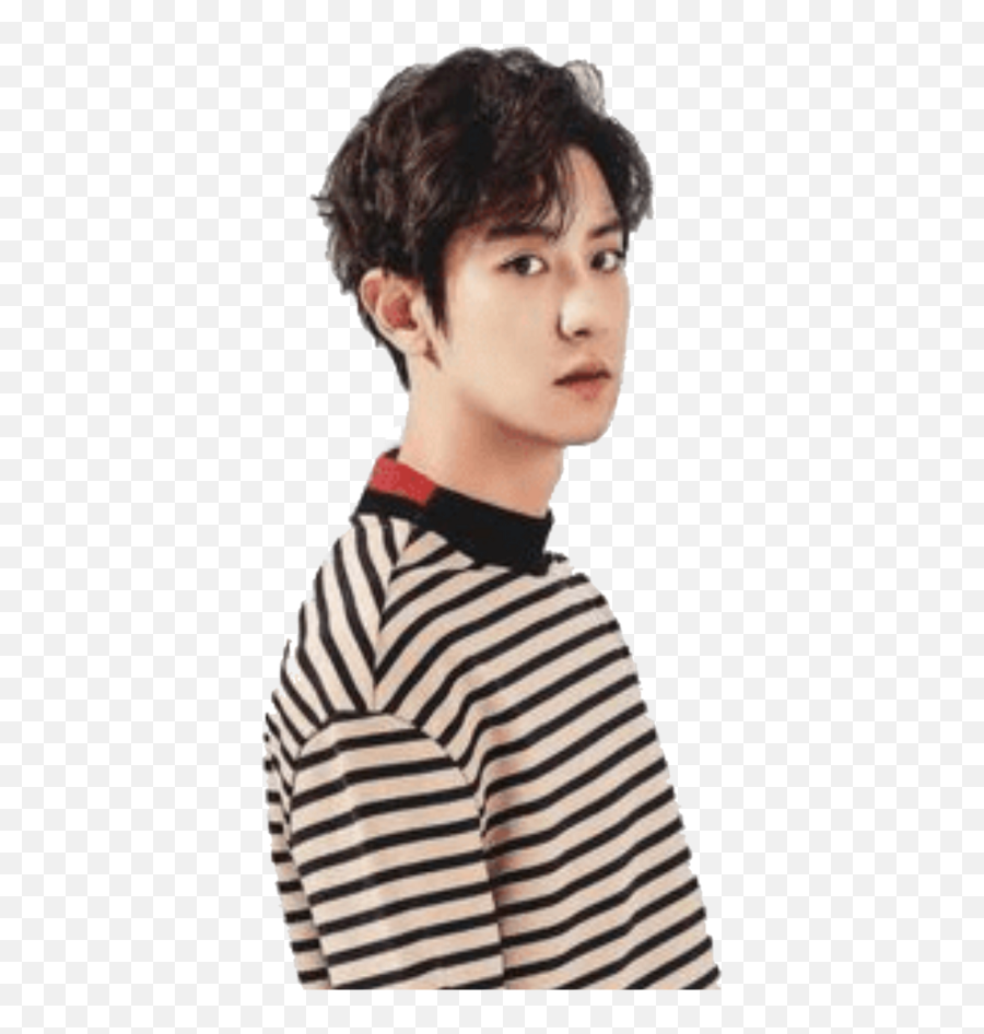 Chanyeol Transparent Sticker Picture - Chanyeol Png,Chanyeol Png