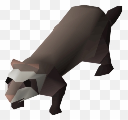Ferret - Runescape Ferret Png,Ferret Png