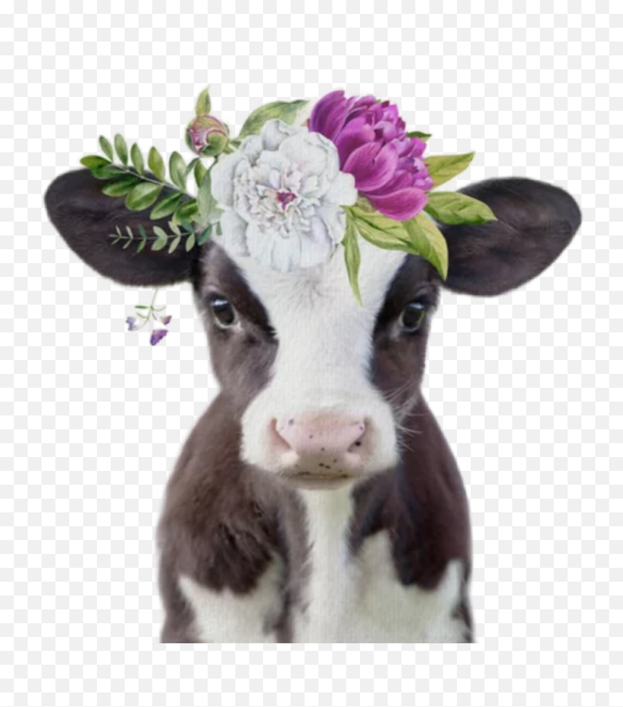 Watercolor Baby Cow With Flower Crown Png Cow Head Png Free Transparent Png Images Pngaaa Com