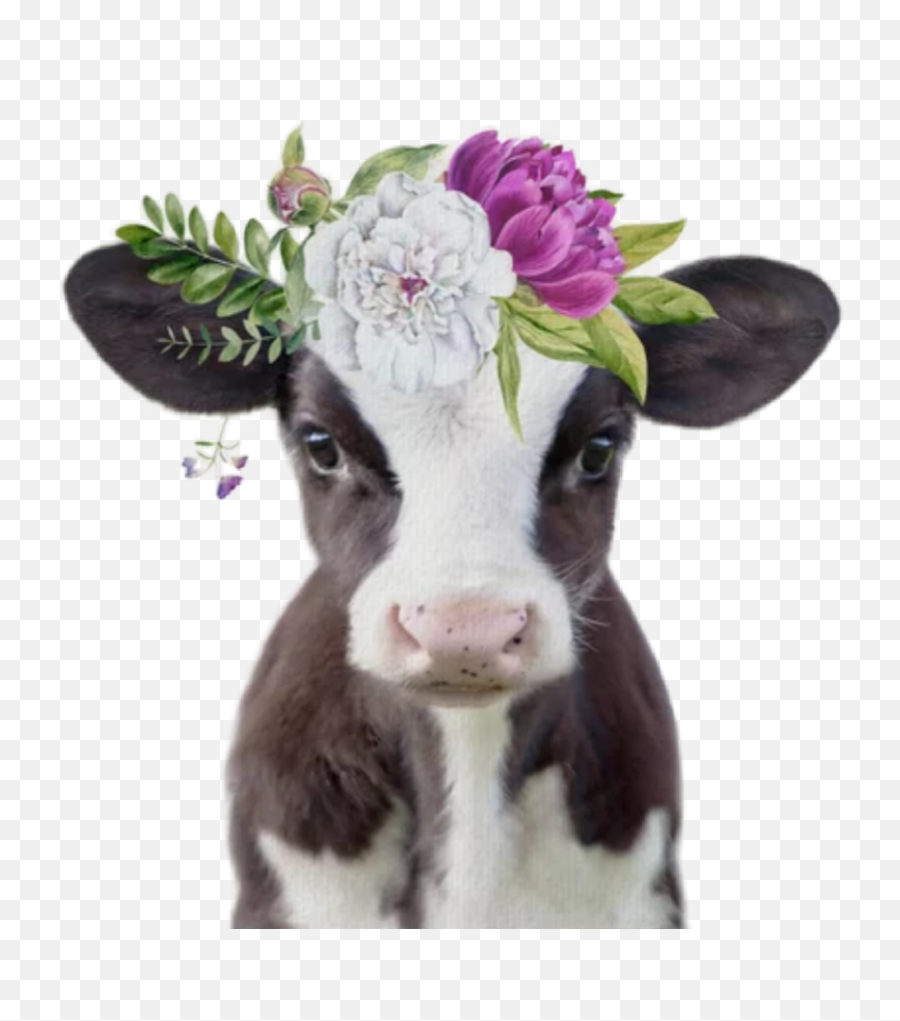 Free Free 154 Cow With Flower Crown Svg Free SVG PNG EPS DXF File