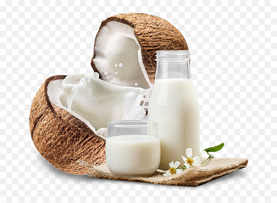 Thai Coco - Coconut With Milk Png,Milk Png