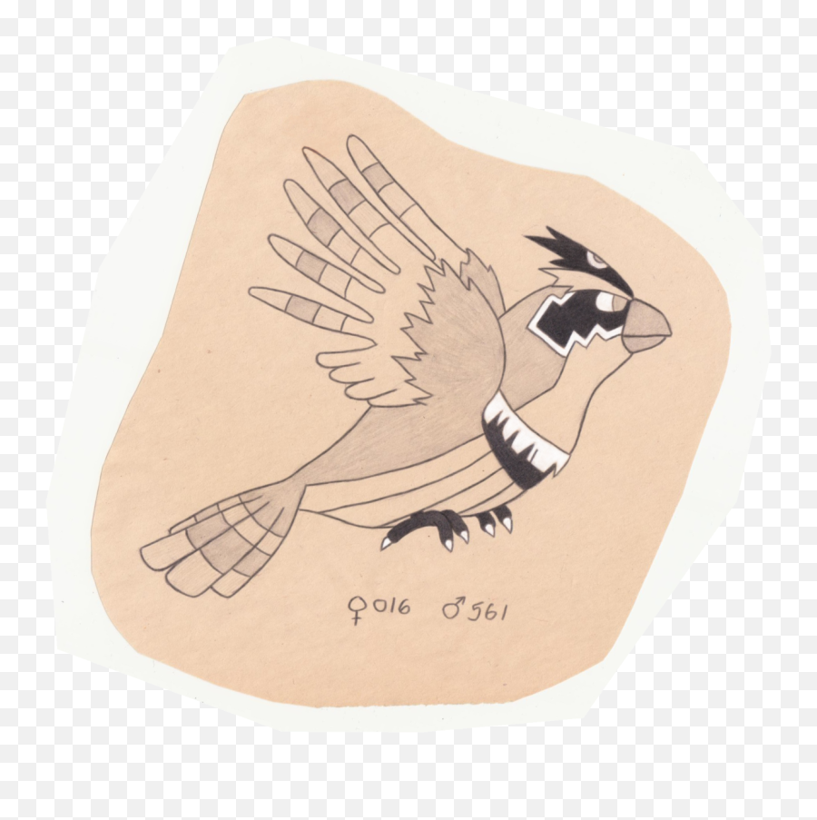The Pokemon Ornithologist U2014 Pidgey - Tiny Bird Pokemon Illustration Png,Pidgey Png