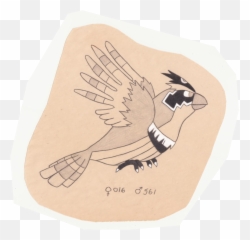 The Pokemon Ornithologist U2014 Pidgey - Tiny Bird Pokemon Illustration Png,Pidgey Png