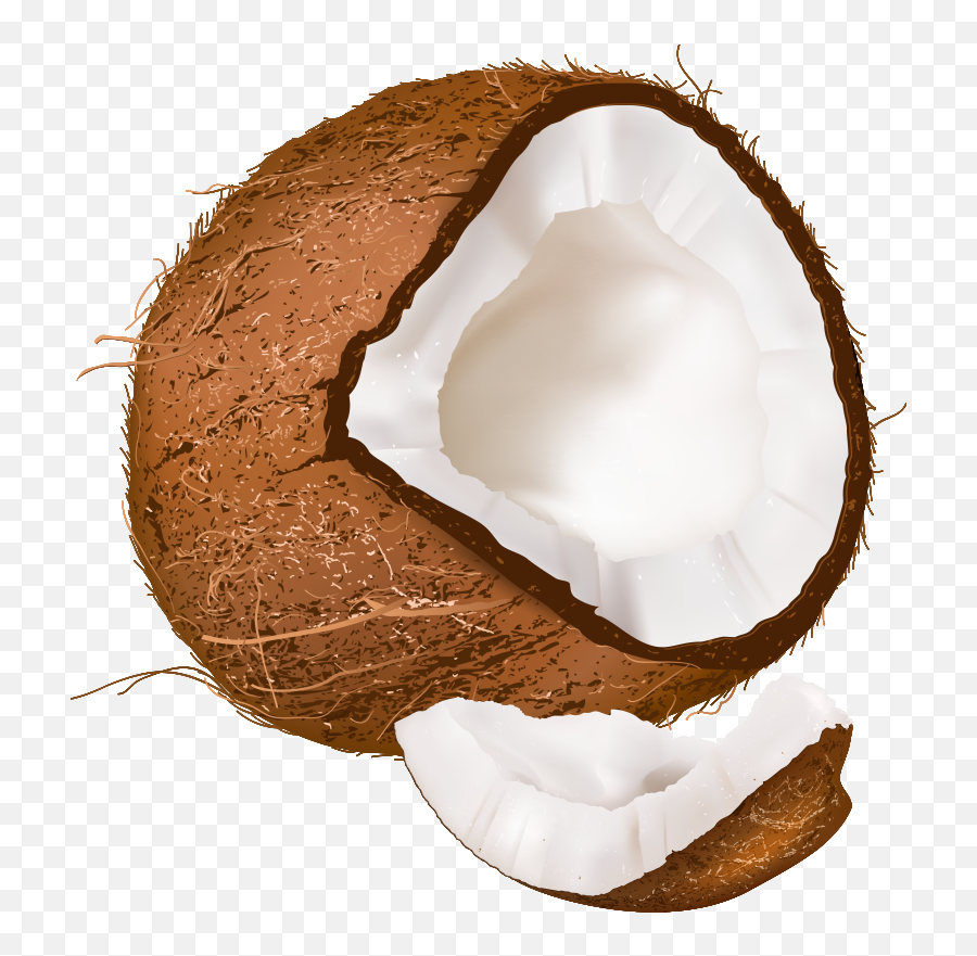 Coconut Clipart Transparent Background - Transparent Coconut Png,Coconut Transparent