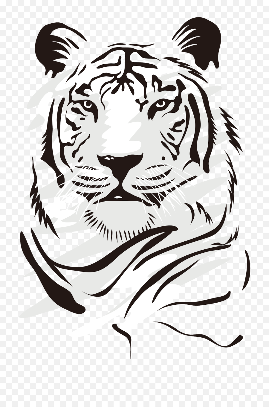 Tiger Free Png Images - Dibujos De Tigres Blancos,White Tiger Png