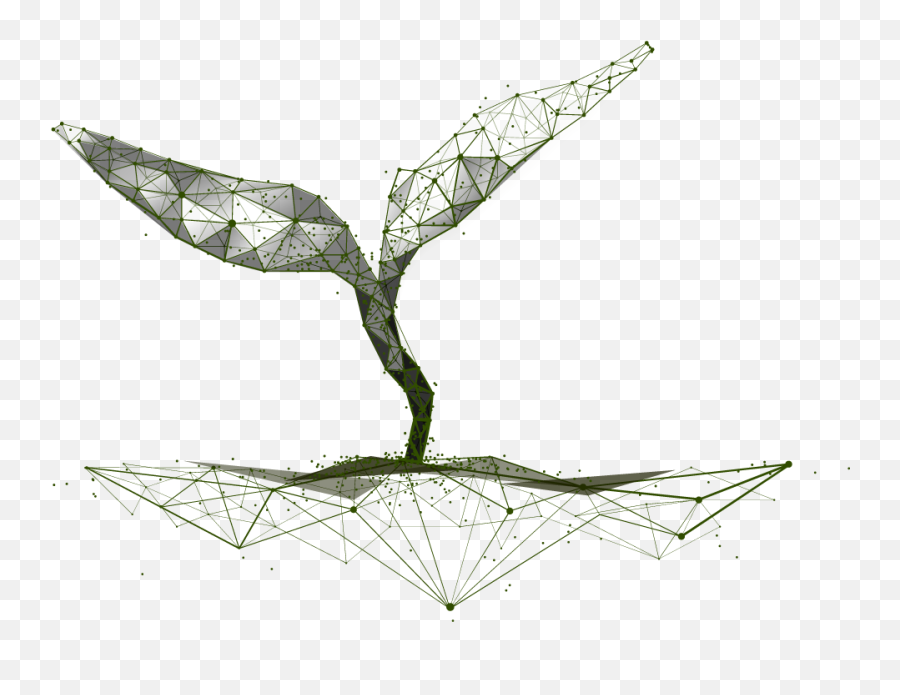 Our Mission - Seed Science Foundation Plant Wireframe Png,Seedling Png