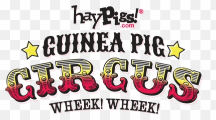 Haypigs - Guinea Pig Toys Feeders Accessories And Gifts Png,Guinea Pig Png
