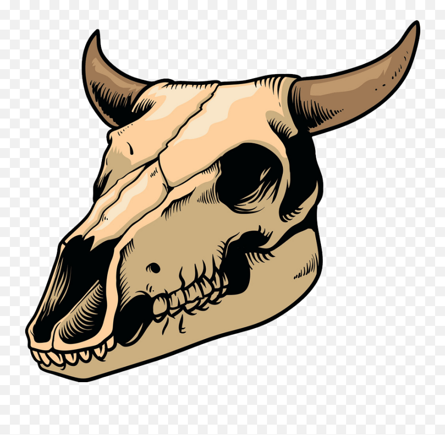 A Cow Skull Clipart Transparent - Clipart World Cartoon Cow Skull Png,Skull Transparent Png