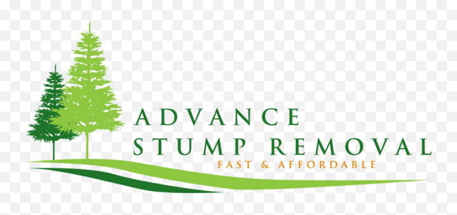 Advance Stump Removal North Carolina United States - Boreal Conifer Png,Stump Png
