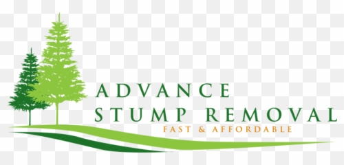 Advance Stump Removal North Carolina United States - Boreal Conifer Png,Stump Png