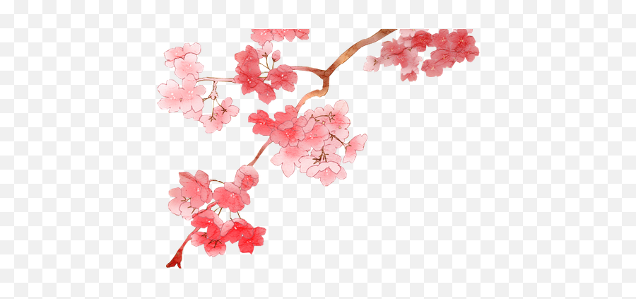 Sakura Flower Transparent Png Clipart - Anime Cherry Blossom Png,Sakura Png