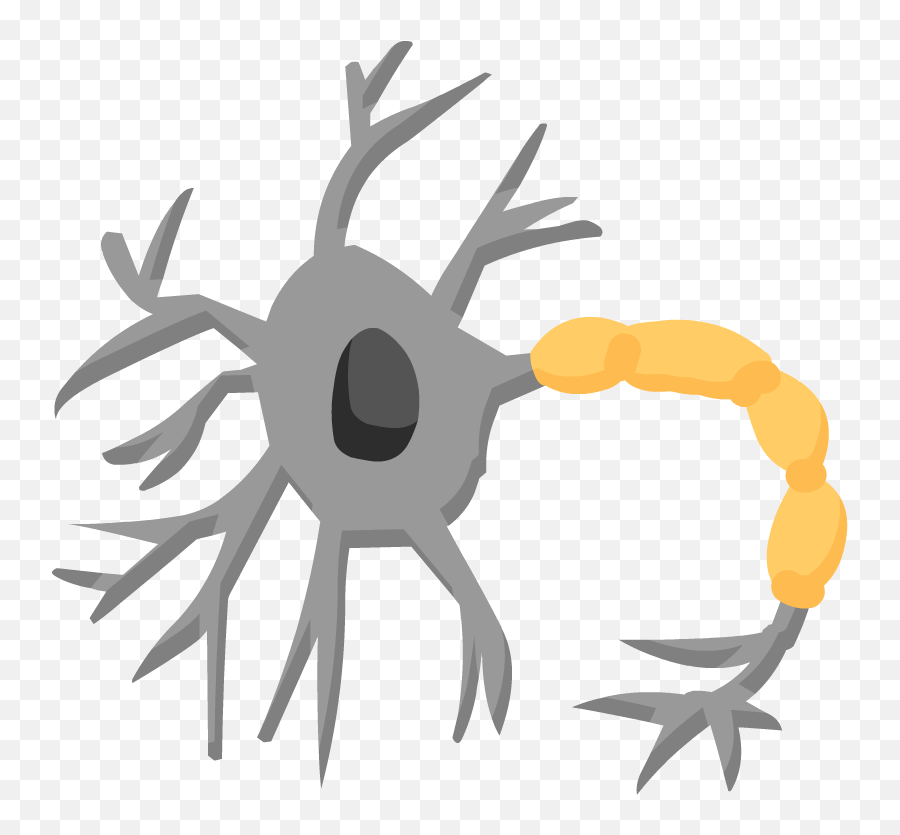 Download Nervous System Icon Png - Parasympathetic Nervous System Icon,Nervous System Icon