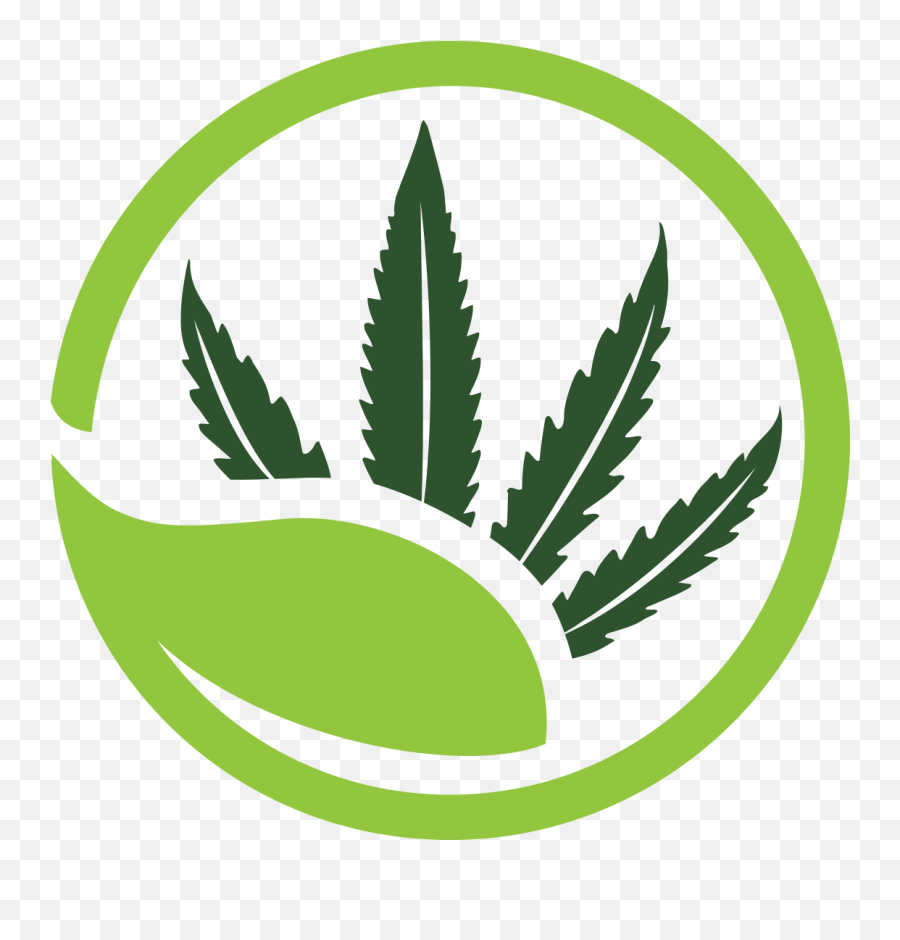 Best Cannabis Dispensary Colorado Springs The Green Source Png Riddler Icon