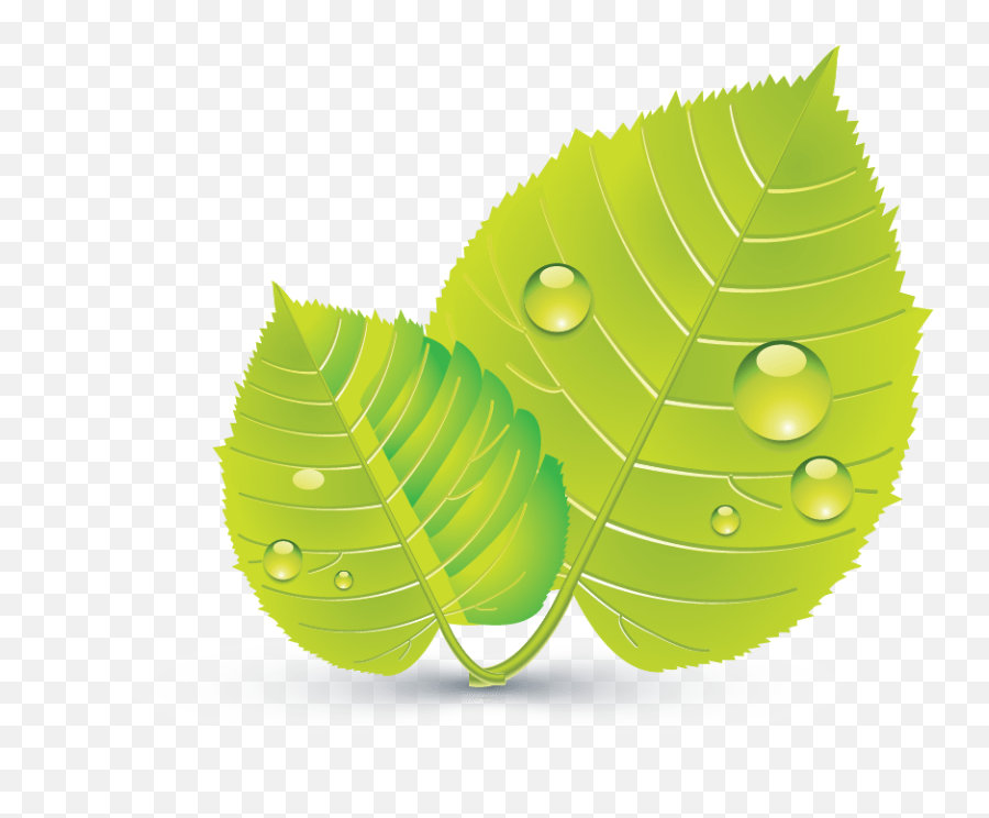 Design Free Logo Green Leaves Online Template - Icon Full Leaf Design Hd Png,Green Leaf Icon Png