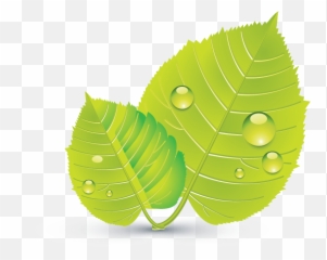 Design Free Logo Green Leaves Online Template - Icon Full Leaf Design Hd Png,Green Leaf Icon Png