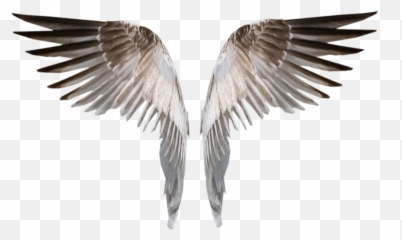 Angle Wings - Burned Angel Png Deviant Download