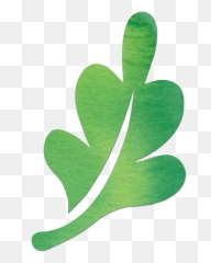 Conserve Indiana - Natural Foods png