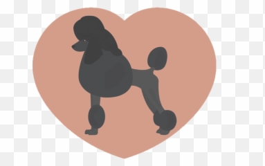 Types Of Doodles Red Barn Farm Png