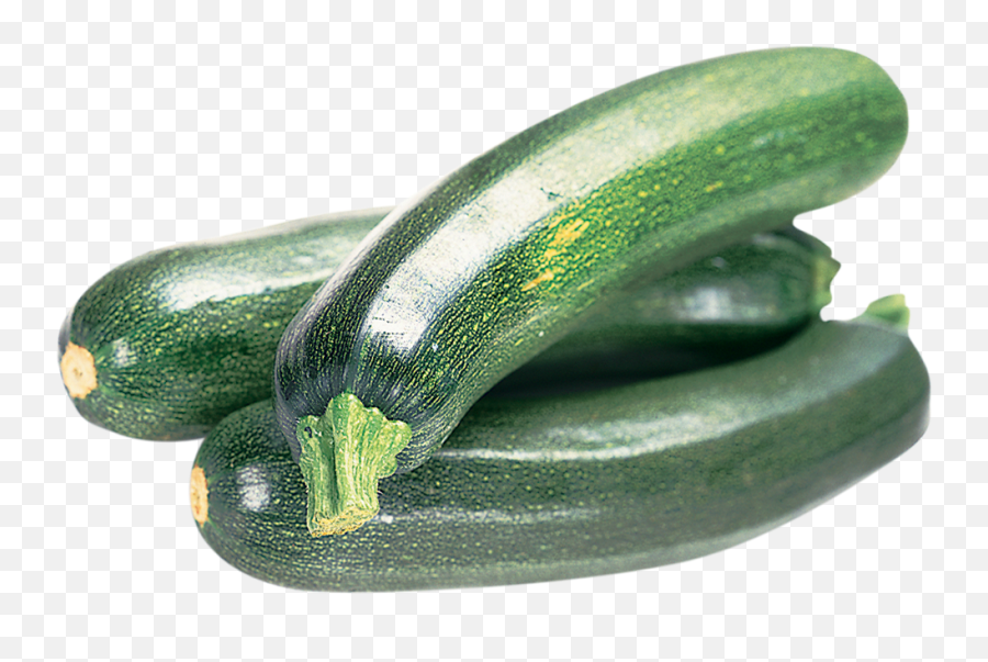 Zucchini Png 3 Image - Zucchini Transparent,Zucchini Png