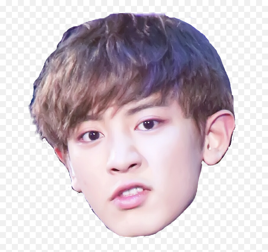 Transparent Chanyeol Drawing Face - Exo Chanyeol Head Png,Chanyeol Png