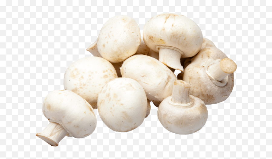 White Mushrooms - Champignons Hd Png,Mushrooms Png
