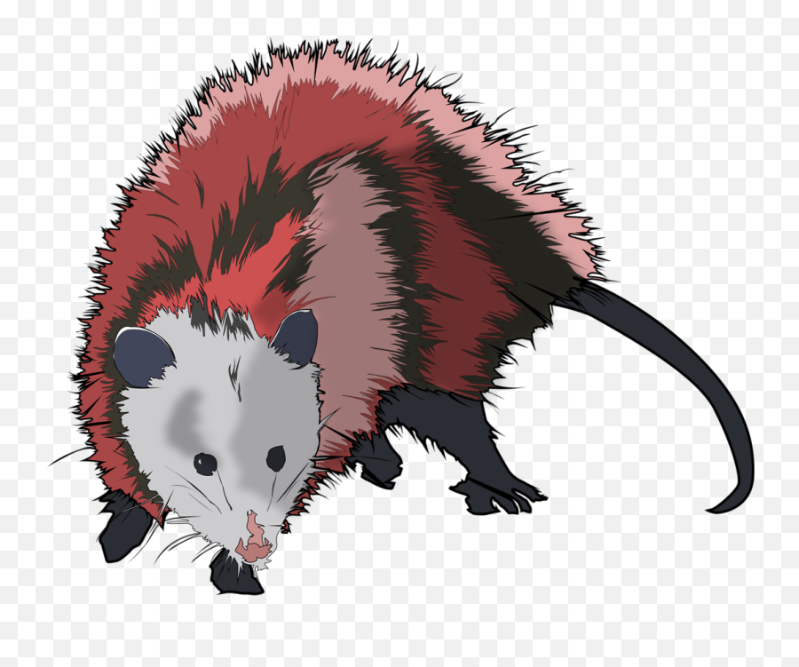 Possum Transparent Png Clipart Free - Possum Png,Possum Transparent