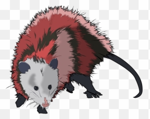 Possum Transparent Png Clipart Free - Possum Png,Possum Transparent