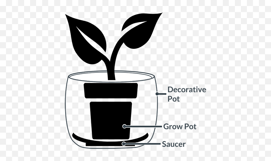 The Complete Guide To Planting Houseplants In Pots - Pot An Indoor Plant Png,Indoor Plant Png