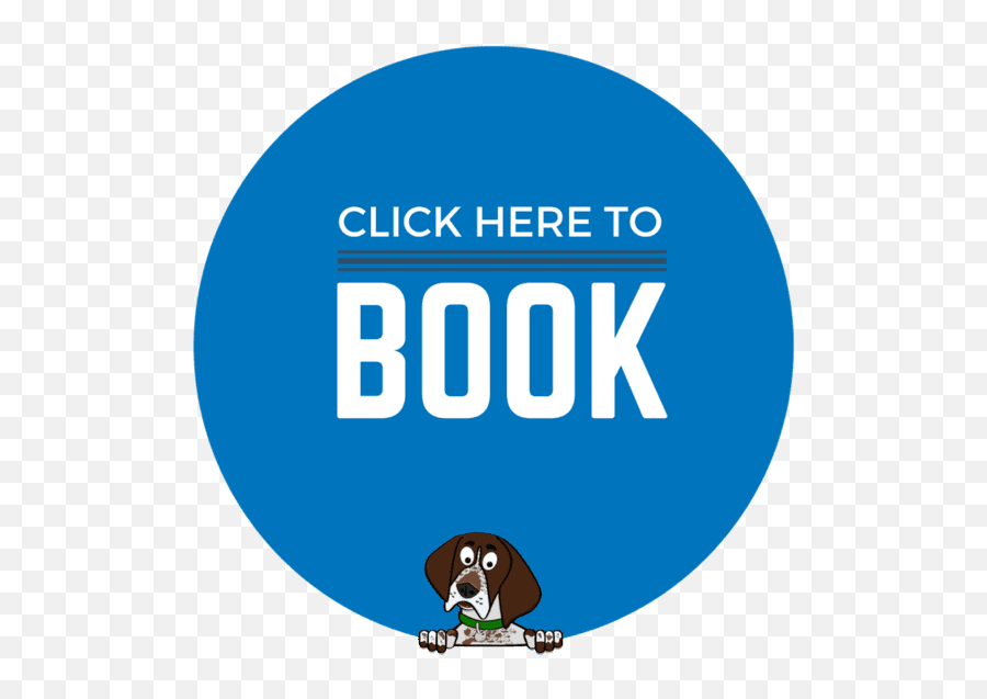 Book Now Button Png Images Collection