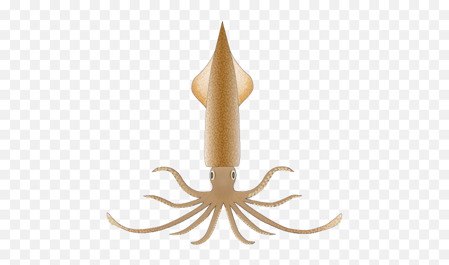 File201208 Spear Squidpng - Wikimedia Commons Squid With Triangle Head,Squid Png