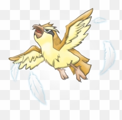 Download Hd Graphic Freeuse F Yeah For By Jaden Lau - Illustration Png,Pidgey Png