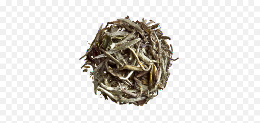 Silver Needles - Organic Dafang Tea Png,Tea Leaf Png