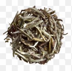 Silver Needles - Organic Dafang Tea Png,Tea Leaf Png