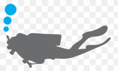 Contact Amphibian Adventures - Silhouette Png,Diver Png