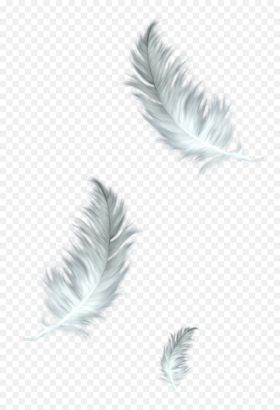 The Floating Feather Bird Clip Art - Feathers Png Download Feathers Png,Feathers Png