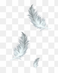 The Floating Feather Bird Clip Art - Feathers Png Download Feathers Png,Feathers Png