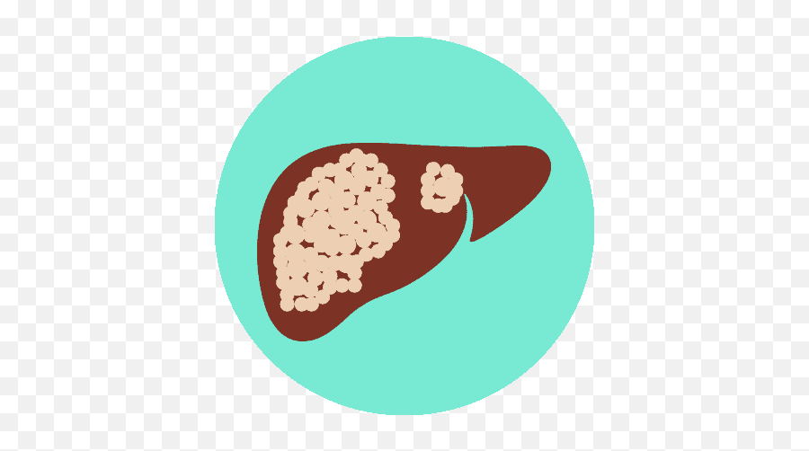 Know Your Liver - Mind Your Liver Meat Png,Liver Icon