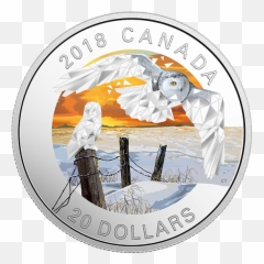 1 Oz Pure Silver Coloured Coin - Geometric Fauna Snowy Owls png