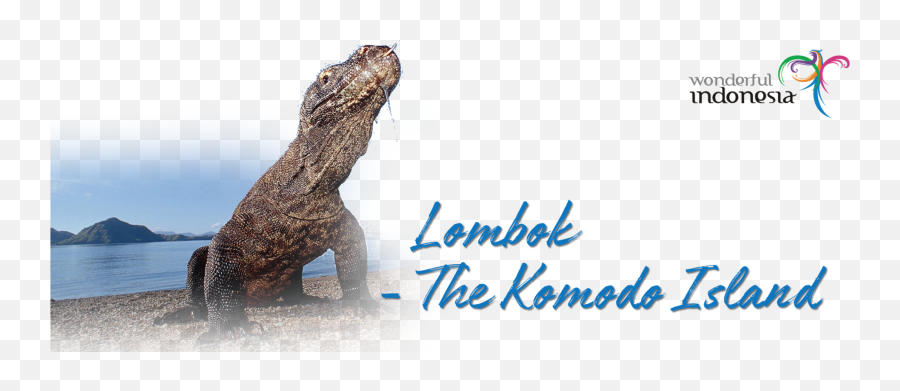 Lombok Island Features Stunning Beaches - Komodo Dragon Png,Komodo Dragon Png