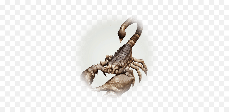 Desert Scorpion - Bdo Codex Escorpion Del Desierto Png,Icon Scorpion Helmet