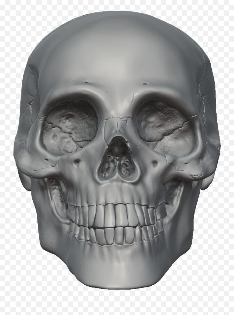 Skeleton Face Png 6 Image - Skeleton Head Png,Skeleton Face Png