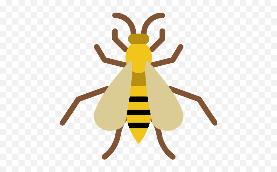Wasp Png Icons And Graphics - Honeybee,Wasp Png