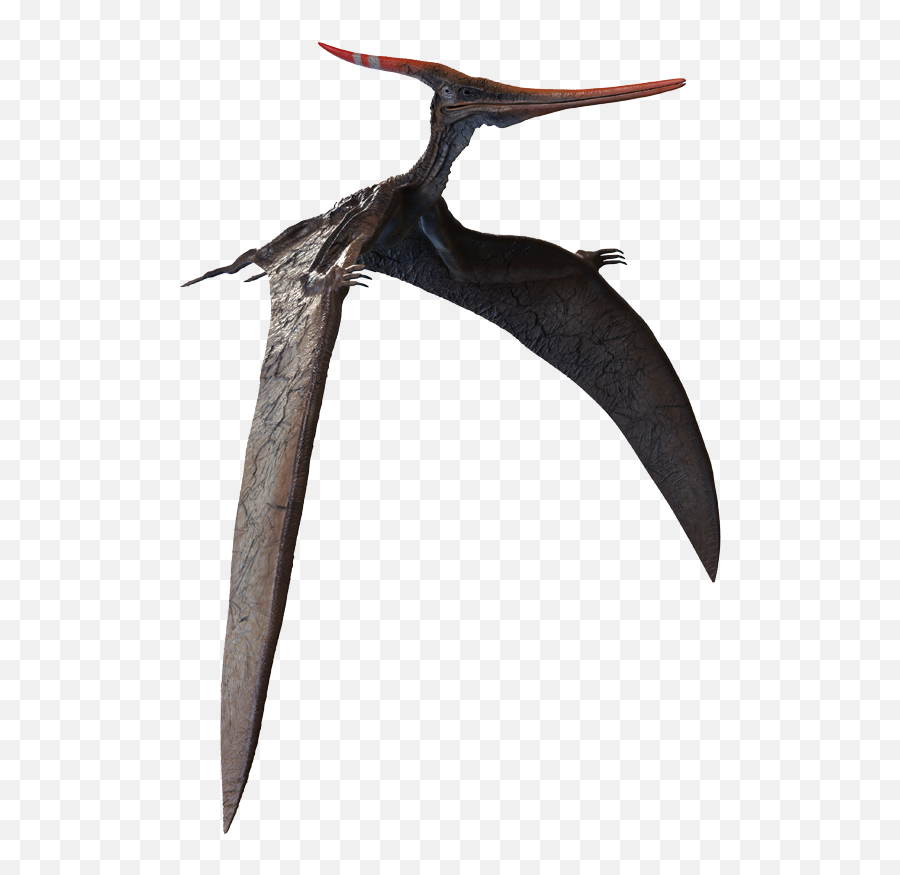 Lone Pterodactyl U2013 Elisa Technologies Inc - Loon Png,Pterodactyl Png